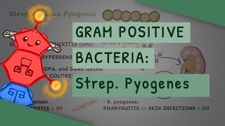 Gram Positive Bacteria Streptococcus Pyogenes [upl. by Waverly]