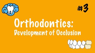 Orthodontics  Development of Occlusion  INBDE ADAT [upl. by Antonina448]