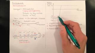 Nervsystemet aktionspotentialen [upl. by Aikan491]