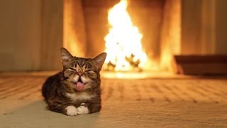 Lil BUBs Magical Yule LOG Video [upl. by Prissie107]