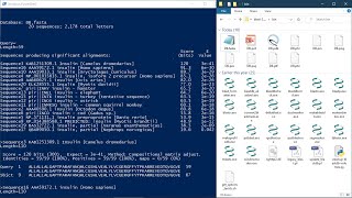 Making Custom Database and Sequence Alignment using NCBI BLAST [upl. by Little450]