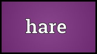 Hare Meaning [upl. by Race]