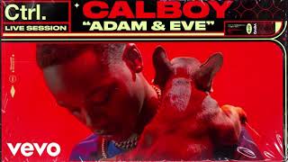 Calboy – Adam amp Eve Lyrics  slowed  reverb [upl. by Leaper]