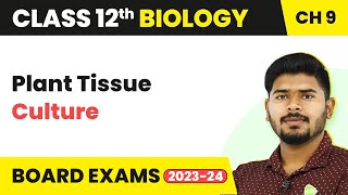 Plant Tissue Culture  Strategies for Enhancement in Food Production  Class 12 Biology 202223 [upl. by Bo]