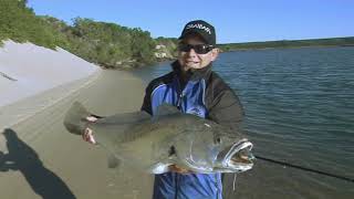 Gamtoos River FIshing [upl. by Katrina]