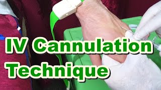 How to Insert IV Cannula  IV Cannulation Technique  Branula  Intravenous Catheter [upl. by Eelesor60]