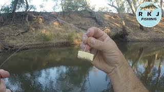 Murray Cod fishing using cheese for bait [upl. by Siugram]