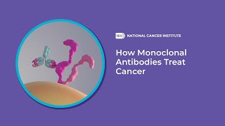 How Monoclonal Antibodies Treat Cancer [upl. by Bernard764]