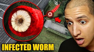 Drone Catches INFECTED WORM Outside My House [upl. by Arlena]