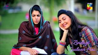 Zindagi Gulzar Hai Title Song OST  Ali Zafar  Hum TV Drama [upl. by Liederman]