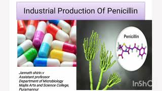 Penicillin productionIndustrial MicrobiologyFermentationRecoveryAntibiotic [upl. by Umeh]