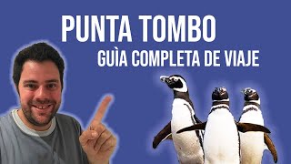 PUNTA TOMBOCHUBUTARGENTINA 🐧  GUIA DE VIAJE todo lo que tenès que saber [upl. by Htennek910]