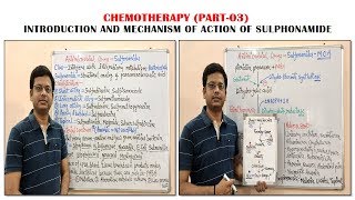 Chemotherapy of Antibiotics Part03 Sulfonamide Introduction amp Mechanism of Action  Antibiotic [upl. by Amarillis]