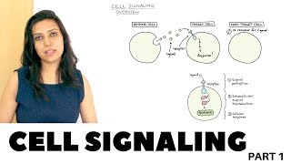 Cell Signaling Overview  Part 1 [upl. by Smart973]