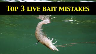 Top 3 LIVE BAIT RIGGING MISTAKES Underwater Evidence [upl. by Lamrouex]