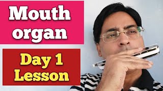 Mouth organ Day 1 lesson Harmonica basic Day 1 tutorial Mouth organ first lessonHarmonica lesson [upl. by Yulma474]