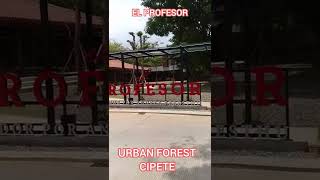 EL PROFESOR  URBAN FOREST CIPETE [upl. by Weyermann138]