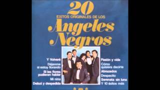 Debut Y Despedida  Los Angeles Negros [upl. by Levitt736]