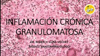 INFLAMACIÓN CRÓNICA GRANULOMATOSA  Dr Elmer Luna Vilchez [upl. by Giacomo815]