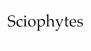 How to Pronounce Sciophytes [upl. by Haianeb]