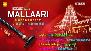 Nadhaswaram Music  Mangala Vadyam  Nadaswaram Thavil Music [upl. by Akenot]