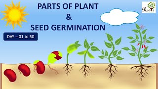 Learn Parts of the Plant  Seed Germination [upl. by Heymann]