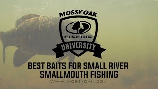 Best Baits for Small River Smallmouth Bass Fishing [upl. by Hasan766]