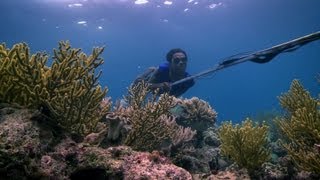 Bajau people of the Banda Sea  Rise of the Continents  Episode 2 Preview  BBC [upl. by Duky]