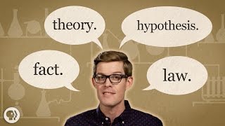 Fact vs Theory vs Hypothesis vs Law… EXPLAINED [upl. by Penoyer]