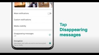 How To Send Disappearing Messages  WhatsApp [upl. by Diskin]