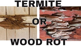 Is That Termite Damage Wood Rot Damage 😨 How to Tell the Difference [upl. by Rasure]