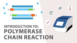 1 PCR Polymerase Chain Reaction Tutorial  An Introduction [upl. by Elwira421]