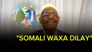 Somali waxa dilay Abwaan Dheeg [upl. by Also746]