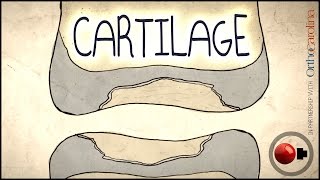 Articular cartilage repair [upl. by Nollid]