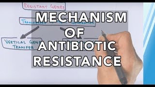 Mechanism of Antibiotic Resistance [upl. by Yromas899]