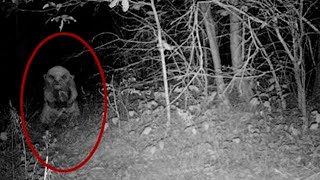 5 Goblins Caught on Camera [upl. by Anauq]