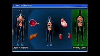 CBSE Class 12 Biology  Types of Immunity [upl. by Danaher187]