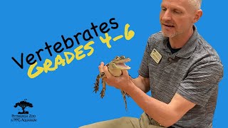 Vertebrates Grades 46 Education Video Series [upl. by Ardnot4]