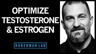 The Science of How to Optimize Testosterone amp Estrogen [upl. by Yadseut]