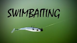 Swimbait Fishing Guide Beginner to Expert [upl. by Jamieson]