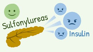 Mechanism of Action of Sulfonylureas and Meglitinide Analogs [upl. by Ative]