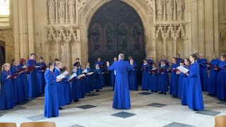 Palestrina Sicut Cervus performed by St Wulframs Church Choir Grantham in Beverley Minster [upl. by Klapp]