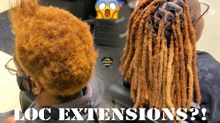 Loc Extension Tutorial Crochet Method [upl. by Nadab]