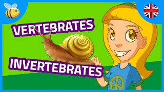 Vertebrates and Invertebrates Animals part 1  Kids Videos [upl. by Genny689]