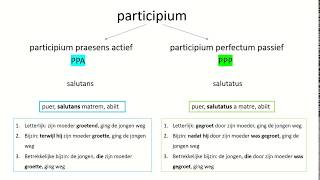 Latijnse grammatica uitleg participium [upl. by Acacia]