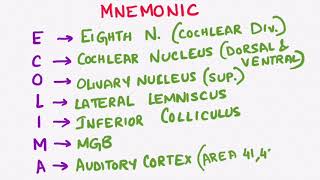 AUDITORY PATHWAY  ENT PHYSIOLOGY [upl. by Cunningham972]