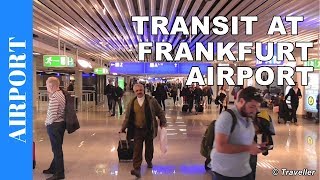 TRANSIT WALK AT FRANKFURT Airport FRA Terminal 1  Connection Flight Transfer Arriving amp Departing [upl. by Mesics]