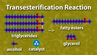 Biodiesel Masterclass What is Biodiesel [upl. by Ecydnarb]