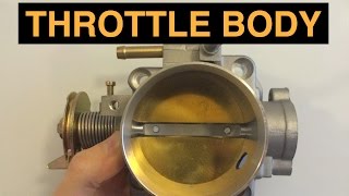 Throttle Body  Explained [upl. by Eirahcaz559]