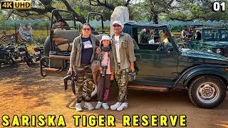 Sariska Tiger Reserve Stay in Vanbagh Eco Luxury Resort [upl. by Gasparo]